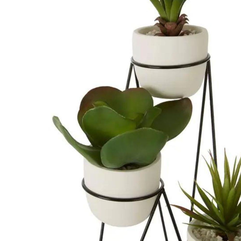 Olivia's Fiori Set Of 3 Succulents With Metal Stand