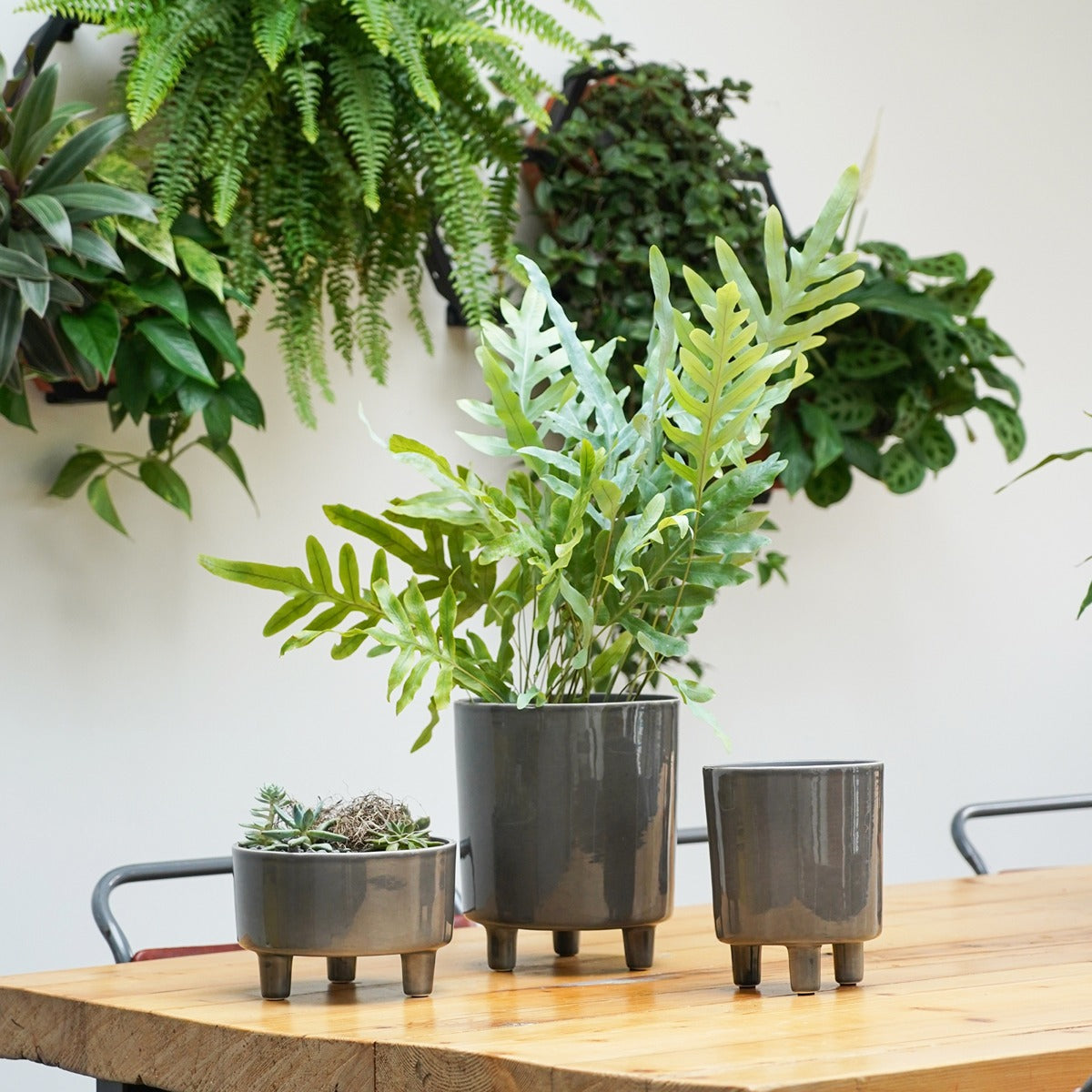 Ivyline Pisa Planter in Slate