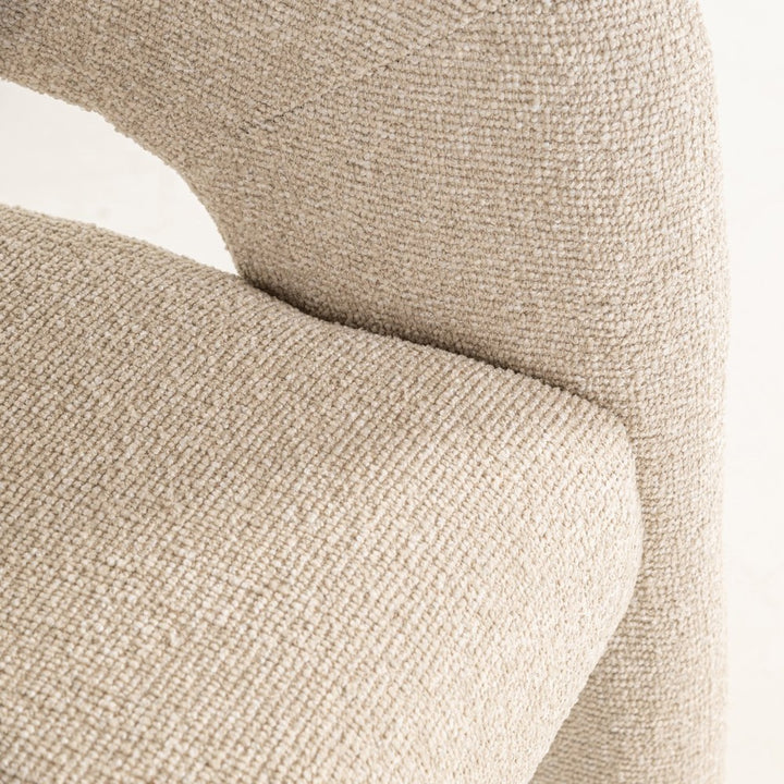 Belle Dining Armchair - Biscotti Richmond 8