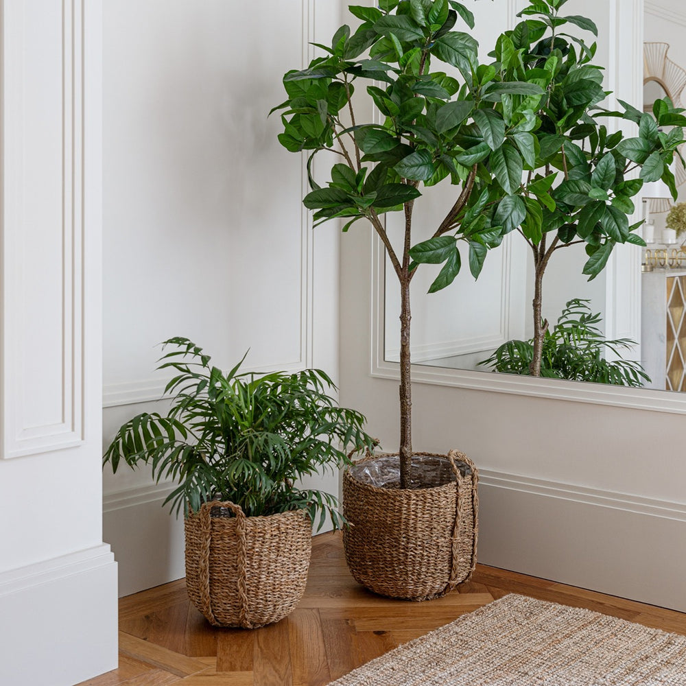 Tenno Set of 3 Baskets - Natural Ivyline 1
