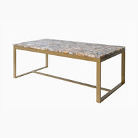 Ivy & Elm Jenny Natural Agate Coffee Table