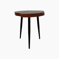 Ivy & Elm Tabhita Natural End Table Small