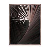 Quintessa Art Areca Under Glass Print