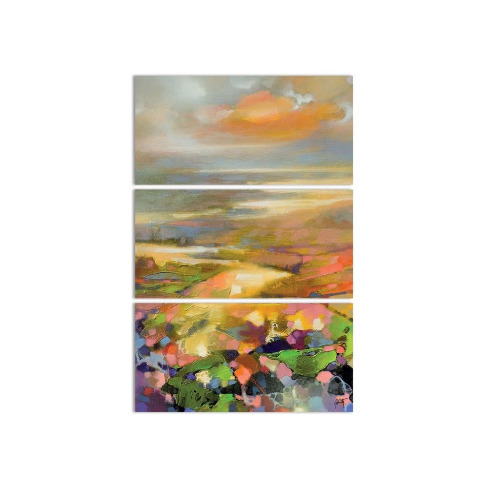 Scott Naismith Highland Terrain Canvas