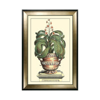 Olivia's 'Antique Aloe II' - Framed & Glazed Print - 112x81cm