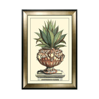 Olivia's 'Antique Aloe IV' - Framed & Glazed Print - 112x81cm