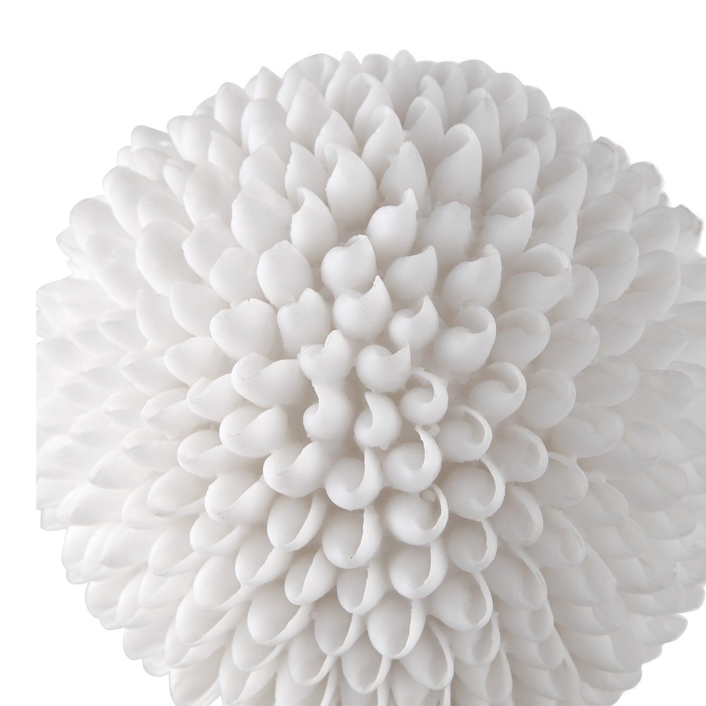 Shell Sculpture in White