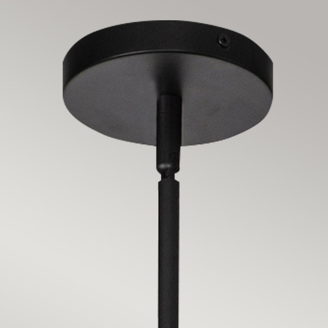 Daphne Large Pendant Light - Matte Black