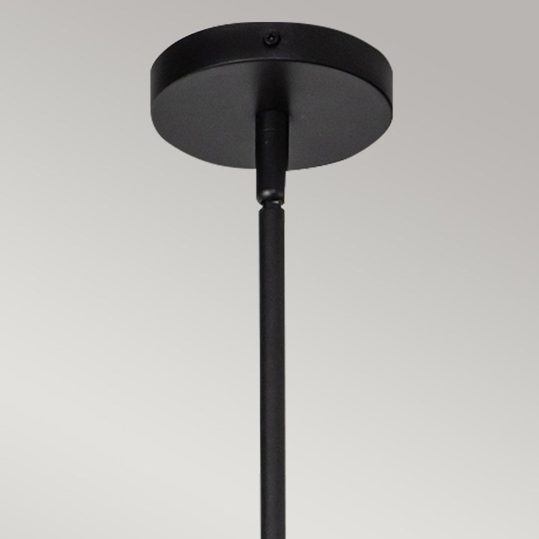 Daphne Pendant Light - Matte Black