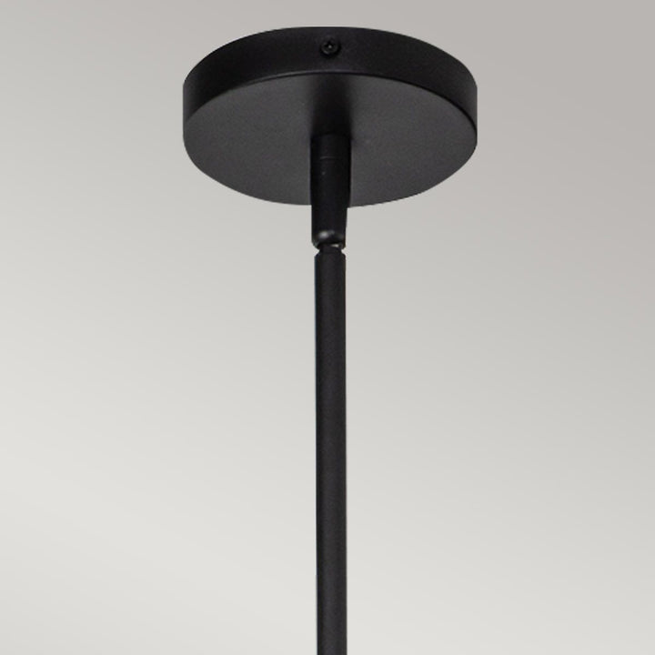 Daphne Pendant Light - Matte Black