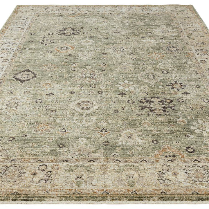 Heriz Ornate Rug - Green