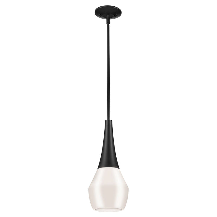 Deela Ceiling Pendant Light - Black