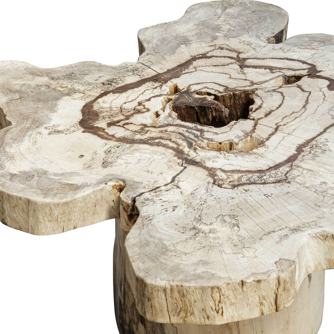 Anzalone Solid Wood Coffee Table
