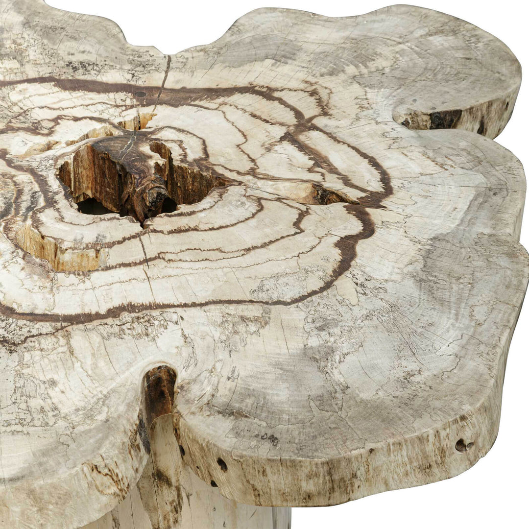 Anzalone Solid Wood Coffee Table