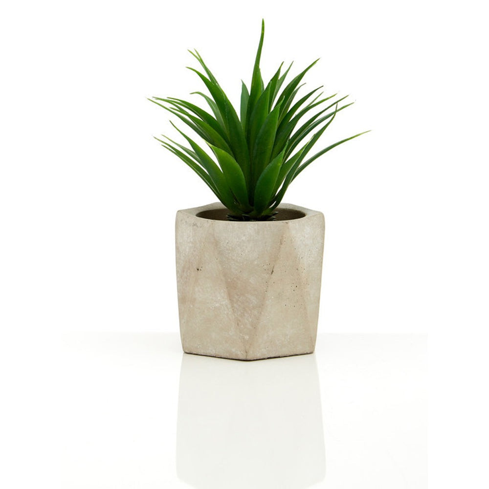 Olivia's Freda Planter Succulent Set Of 3 In Geo Cement Pots