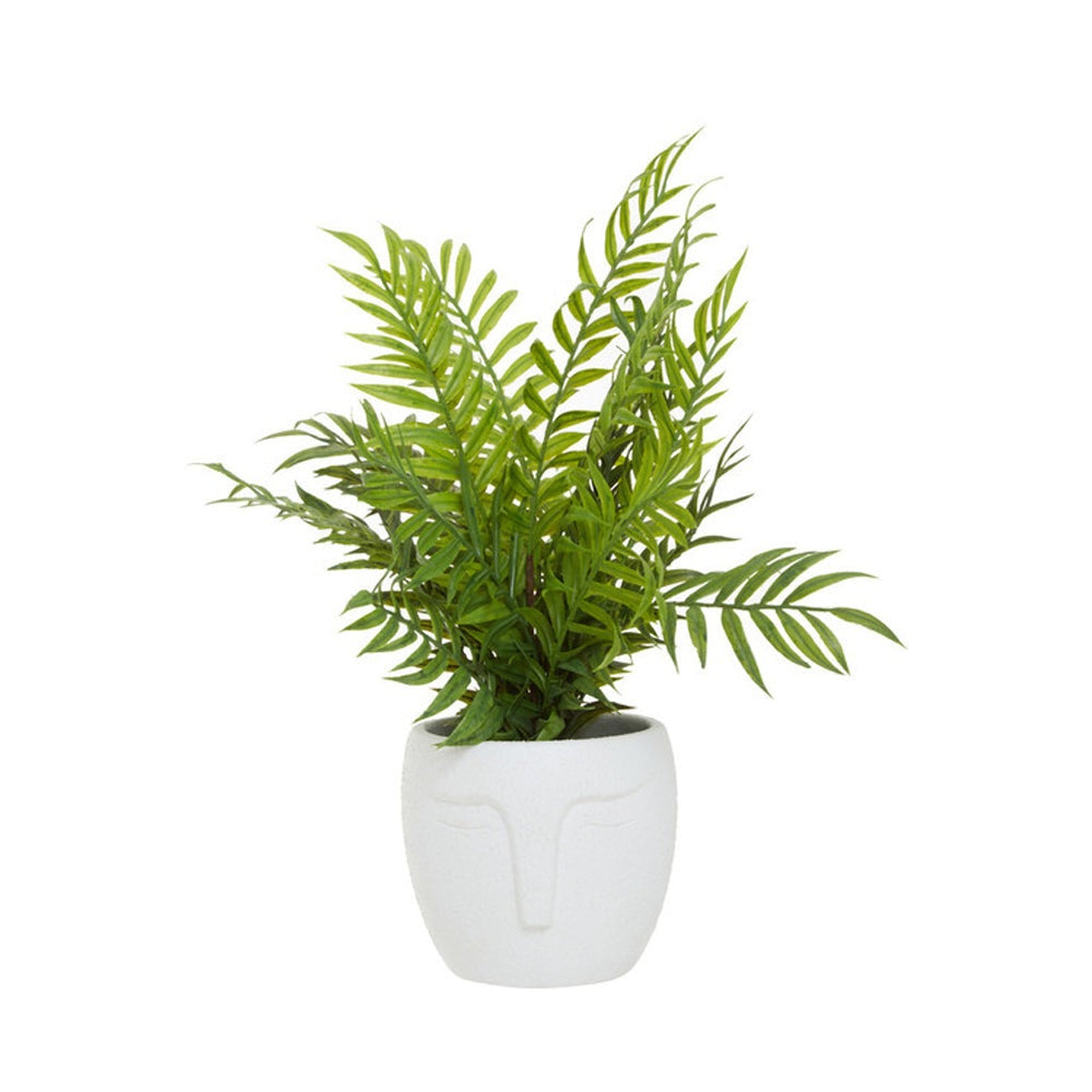 Olivia's Fern In Ceramic Face Pot