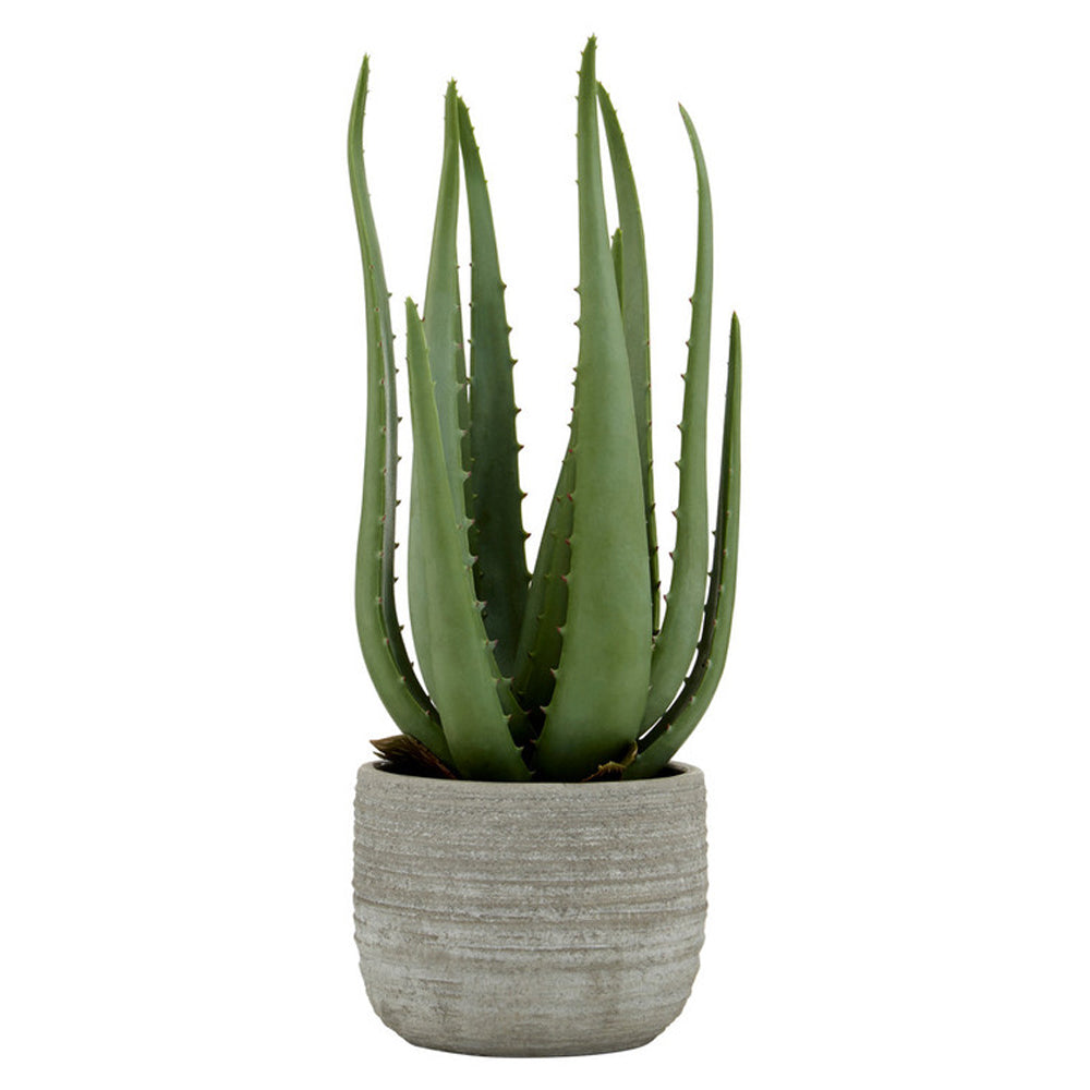 Olivia's Large Faux Aloe Vera With Cement Pot