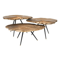 Eichholtz Set of 3 Quercus Coffee Table Brass Finish