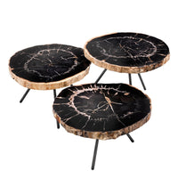 Eichholtz Set of 3 De Soto Coffee Tables Dark Range