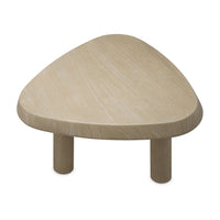 Eichholtz Large Briël Coffee Table in Washed Veneer