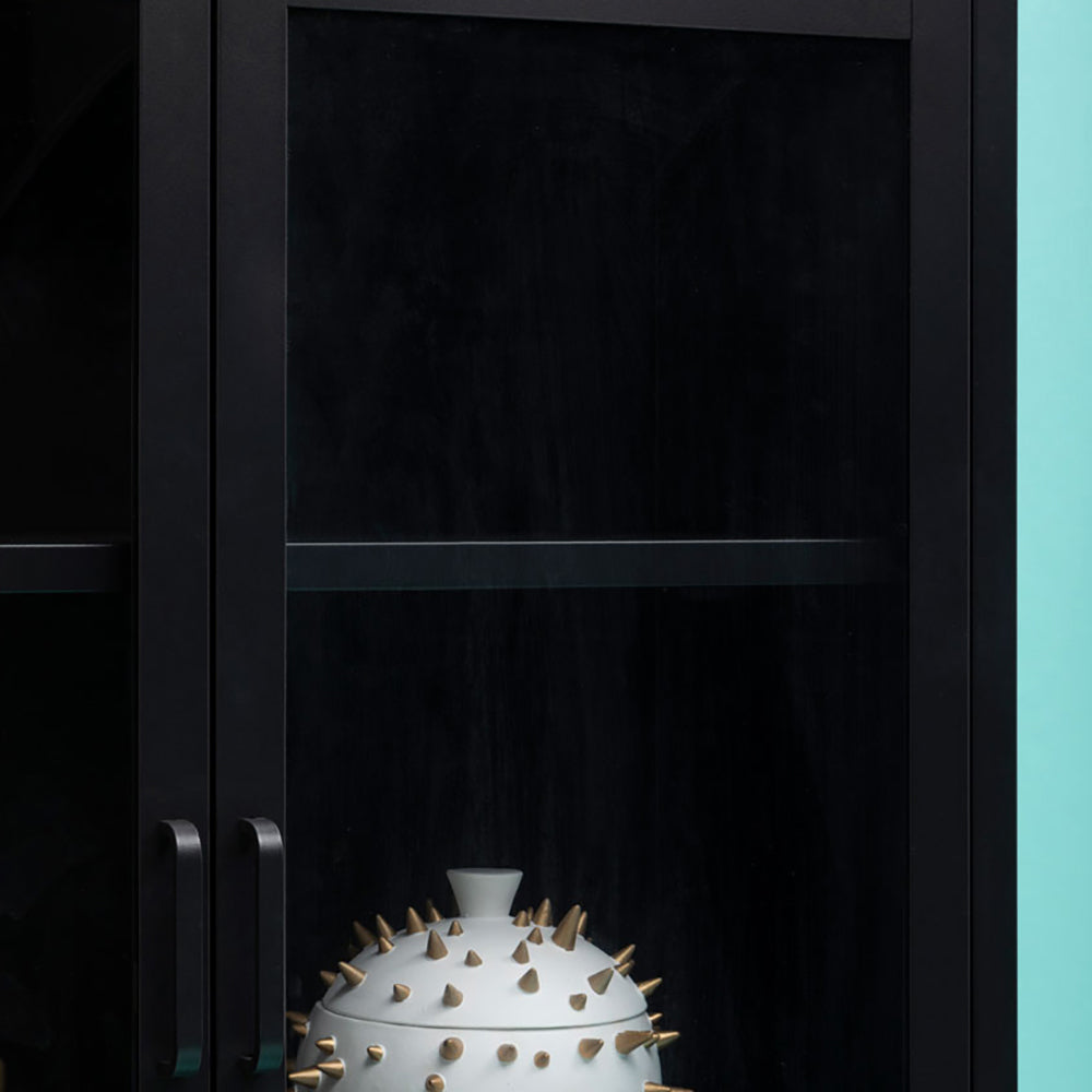 Olivia's Soft Industrial Collection - Ariella Two Door Cabinet with Shelf in Black