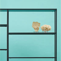 Olivia's Acer Multi Shelf Unit in Black