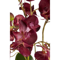 Olivia's Faux Orchid Purple