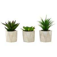 Olivia's Freda Planter Succulent Set Of 3 In Geo Cement Pots