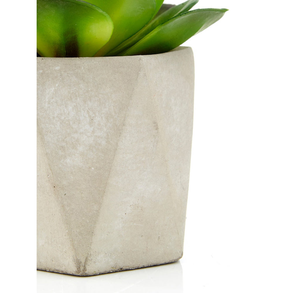Olivia's Freda Planter Succulent Set Of 3 In Geo Cement Pots