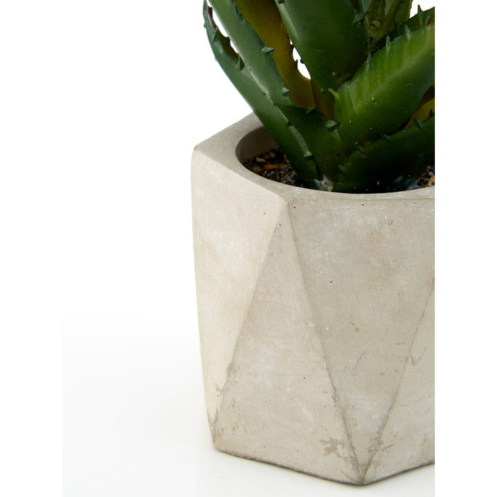 Olivia's Freda Planter Succulent Set Of 3 In Geo Cement Pots