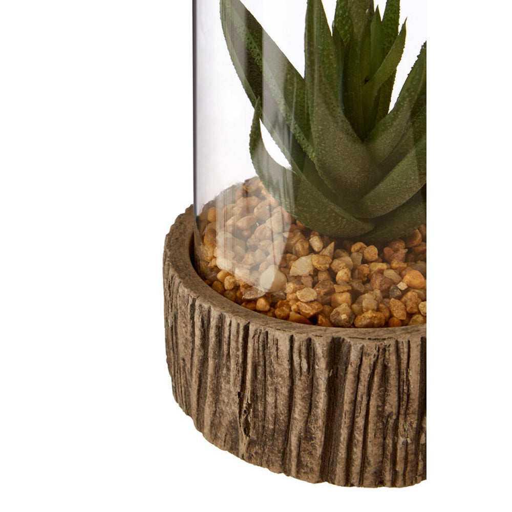 Olivia's Small Succulent With Natural Stone Base