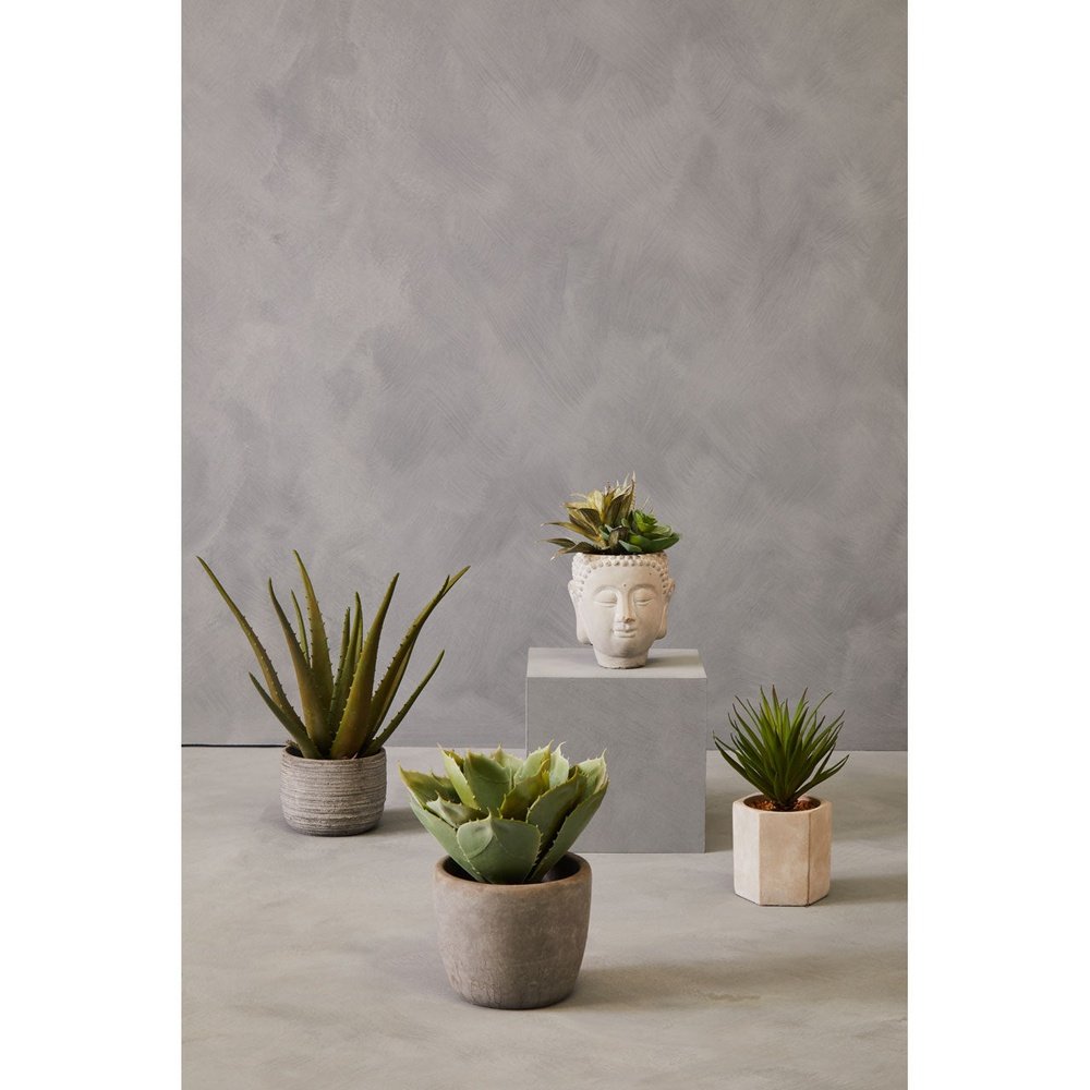 Olivia's Large Faux Aloe Vera With Cement Pot