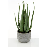 Olivia's Large Faux Aloe Vera With Cement Pot