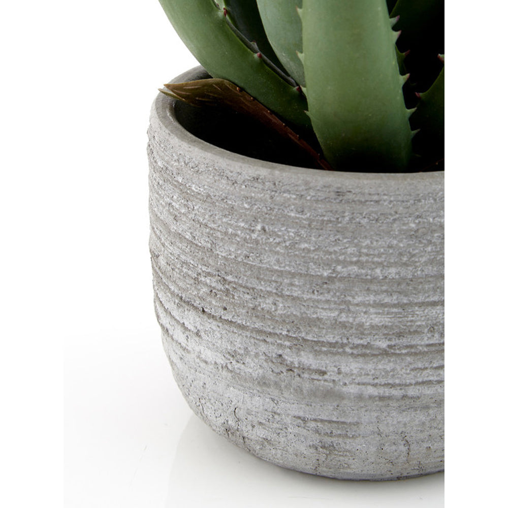 Olivia's Large Faux Aloe Vera With Cement Pot