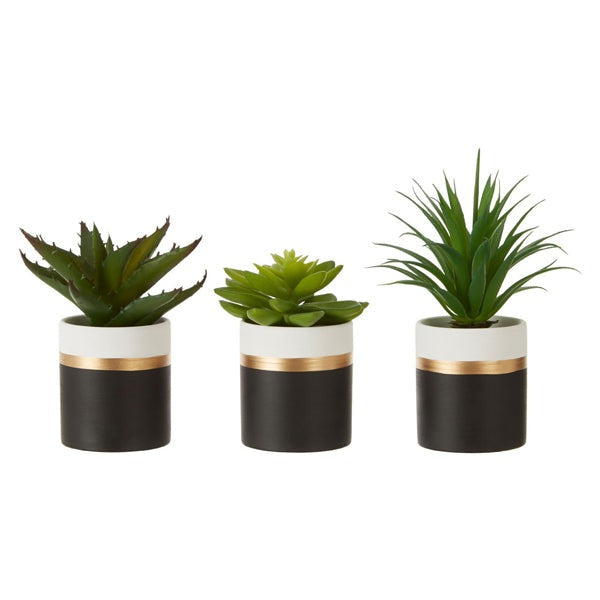 Olivia's Freda Planter Succulent Pot Black