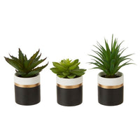 Olivia's Freda Planter Succulent Pot Black