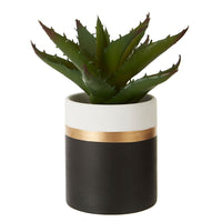 Olivia's Freda Planter Succulent Pot Black