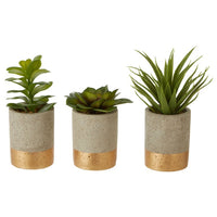 Olivia's Freda Planter Succulent Pot Grey