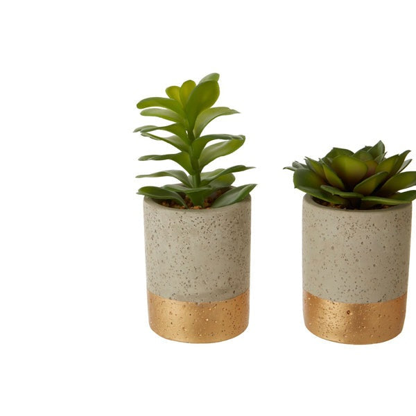 Olivia's Freda Planter Succulent Pot Grey