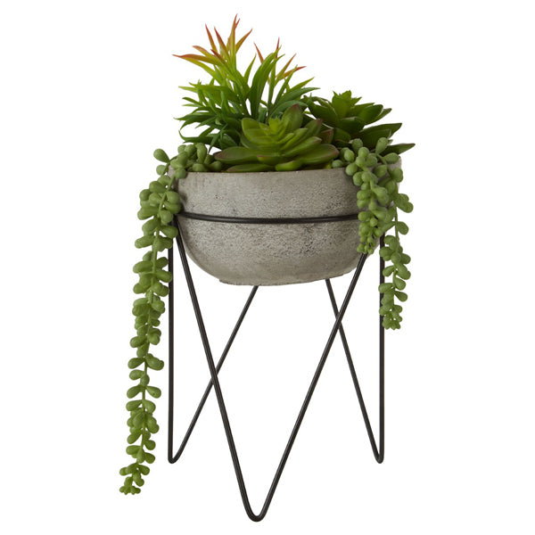 Olivia's Freda Planter Succulent Mixed With Metal Stand
