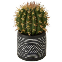 Olivia's Freda Planter Succulent Cactus