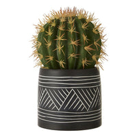 Olivia's Freda Planter Succulent Cactus