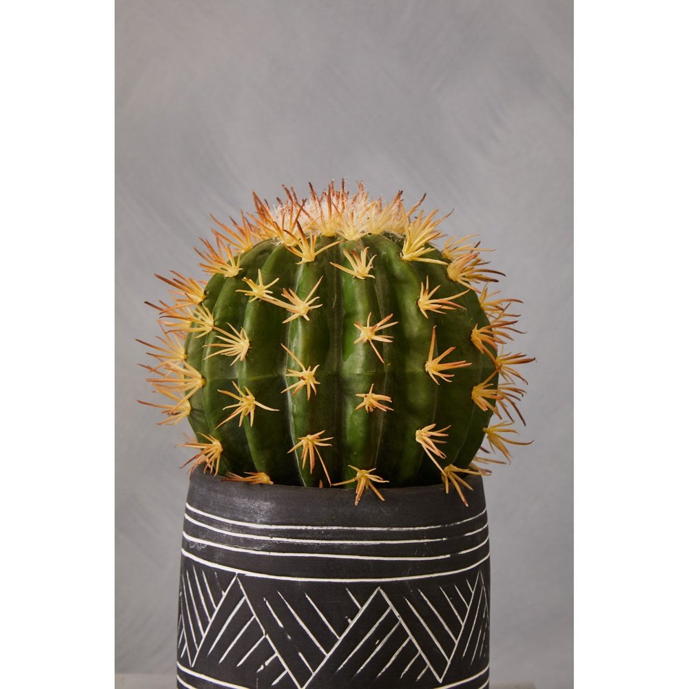 Olivia's Freda Planter Succulent Cactus