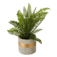 Olivia's Freda Planter Succulent Boston Fern