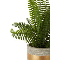 Olivia's Freda Planter Succulent Boston Fern