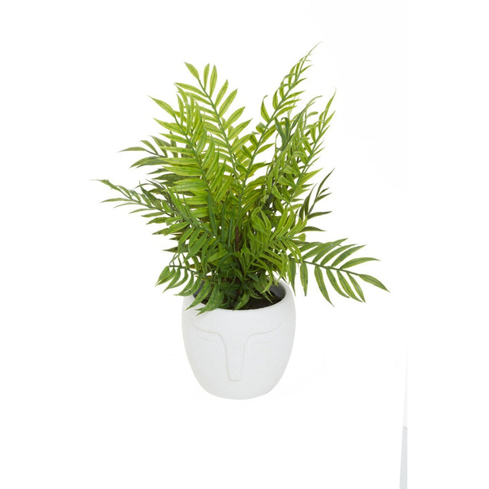 Olivia's Fern In Ceramic Face Pot