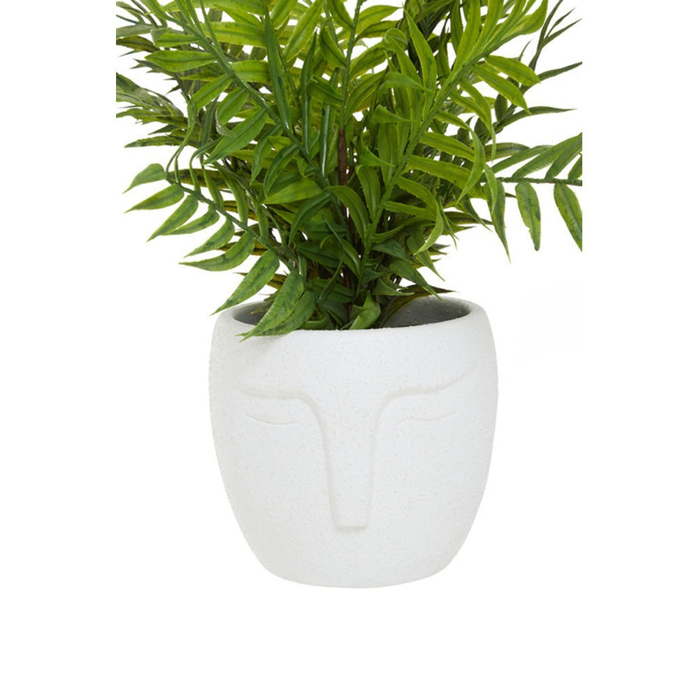 Olivia's Fern In Ceramic Face Pot