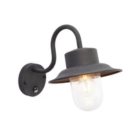 Olivia's Clarissa Pir Wall Light Black