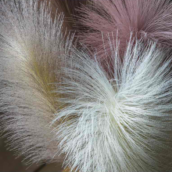 Gallery Interiors Goma Ivory Soft Feather Stem (5pk)
