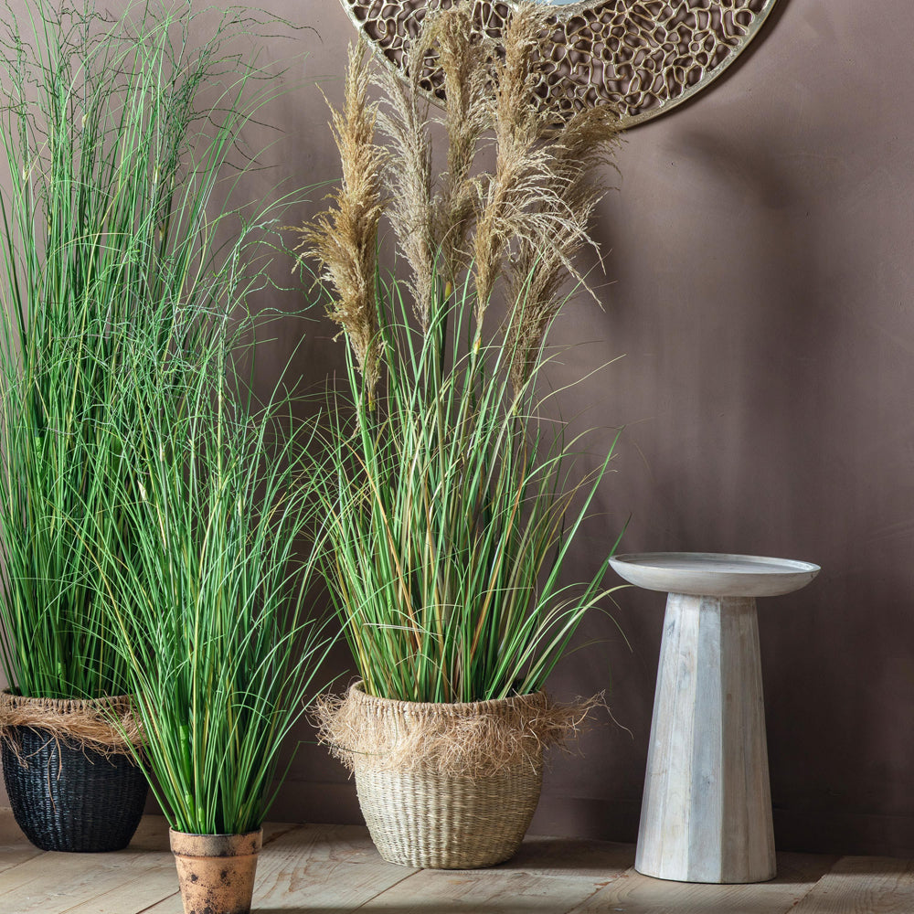 Gallery Interiors Pampas Grass With 7 Heads